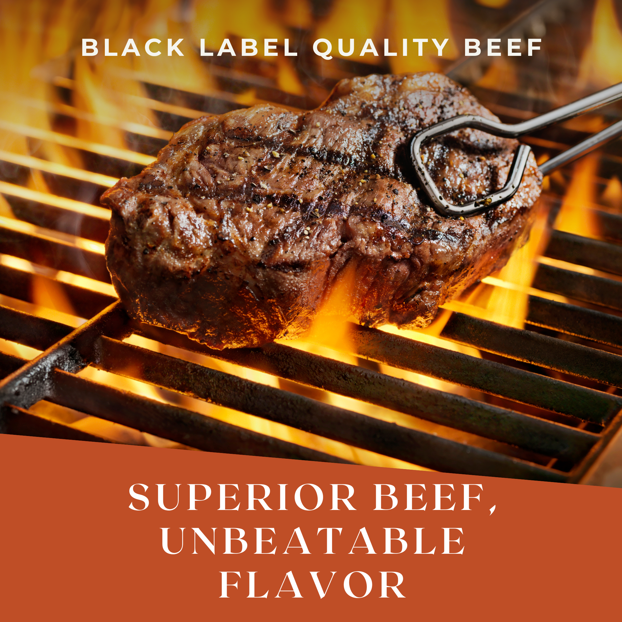 black-label-quality-beef-square